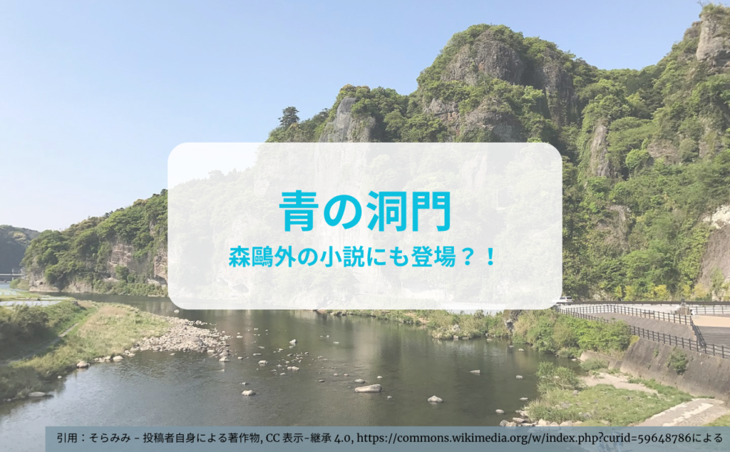 中津観光1