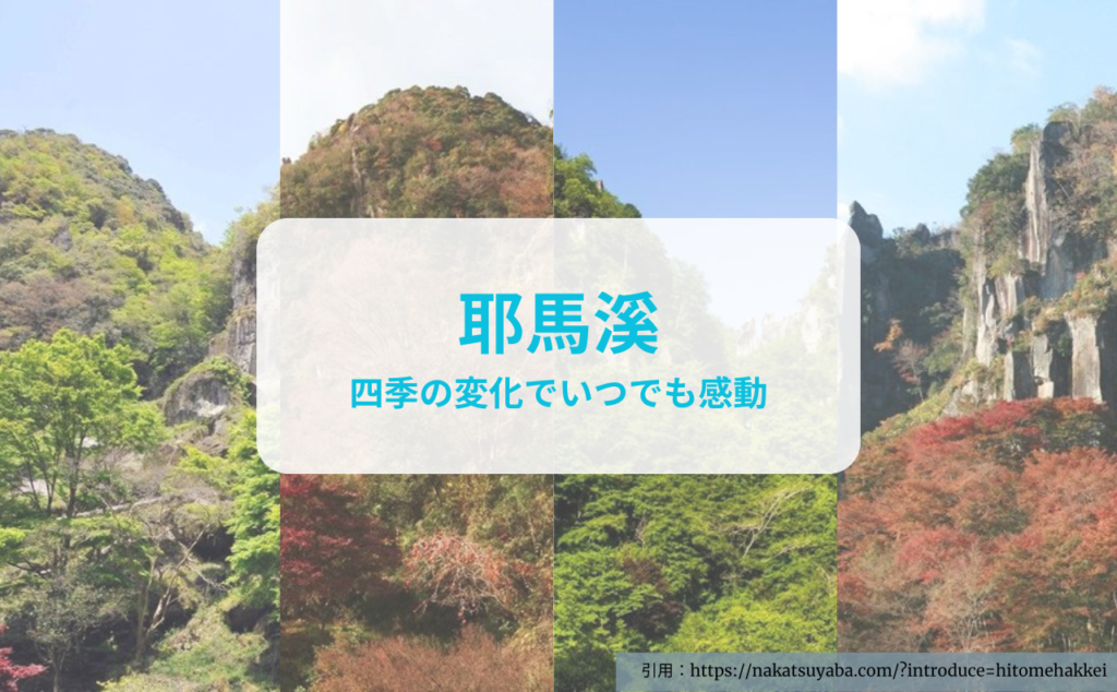中津観光2