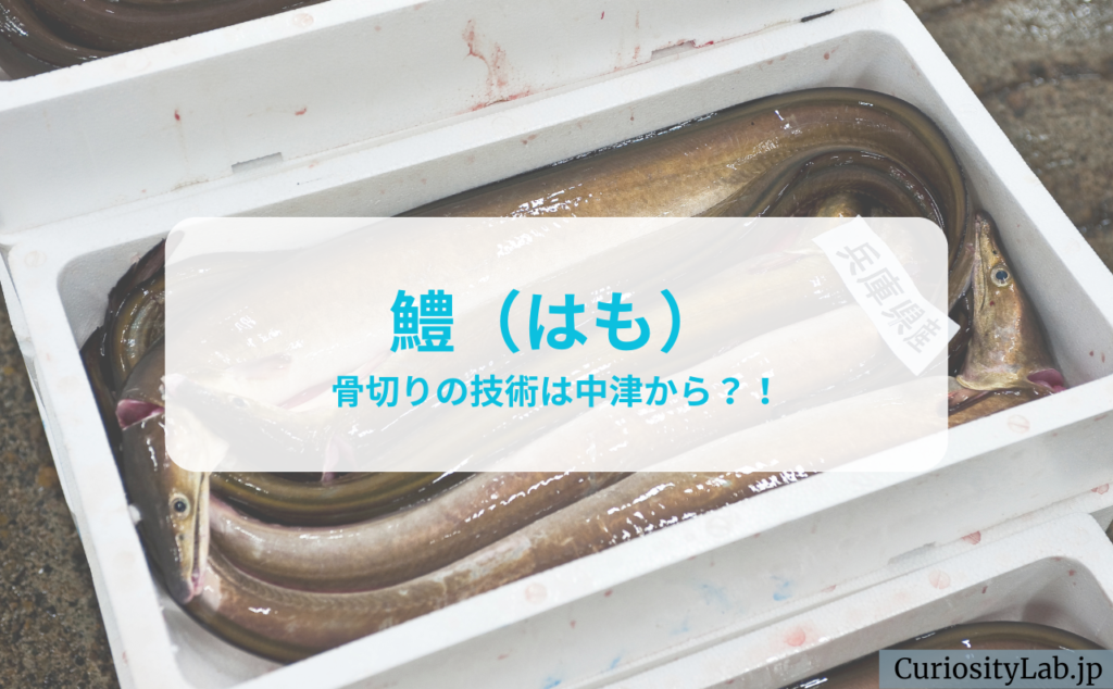 中津観光4