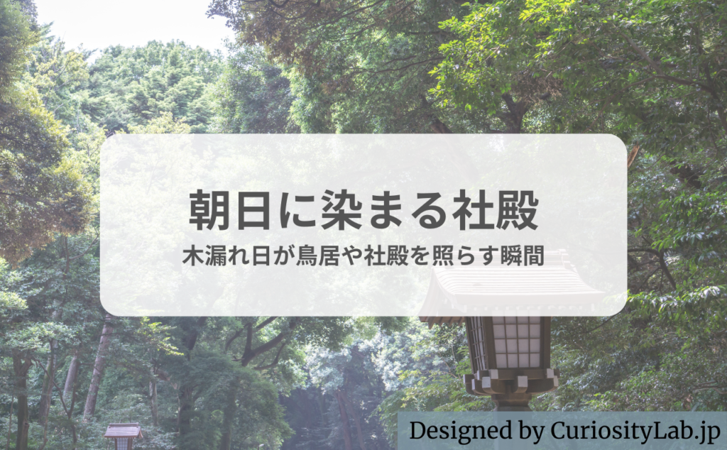 宇佐神宮観光3